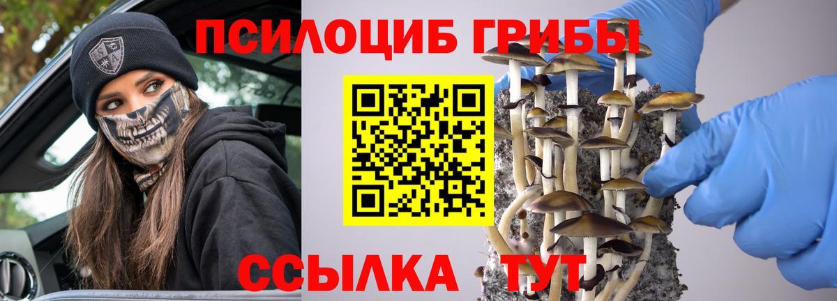Псилоцибиновые грибы GOLDEN TEACHER  Вход с VPN  Галлюциногенные грибы MAGIC MUSHROOMS  Шелехов 